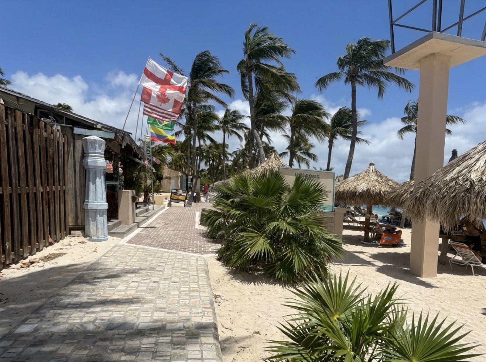 The beachfront walkway at Palm Beach, Aruba, with palms and palapas